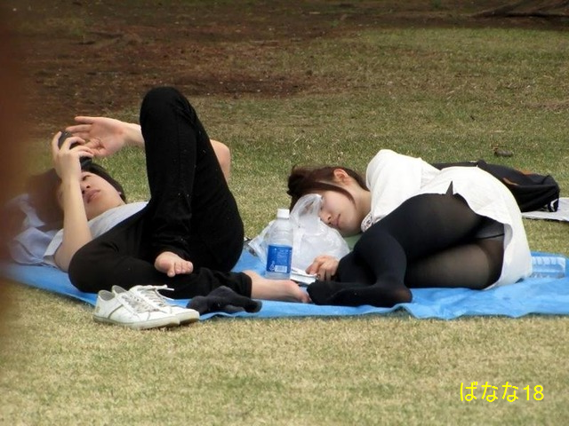 カップルの彼女が公園で寝ているとこタイツ越しにパンチラが見える